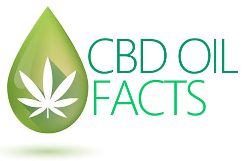 CBD Oil Facts