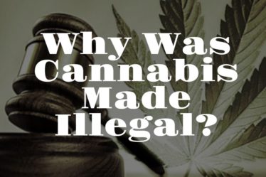 Why Cannabis Was Made Illegal