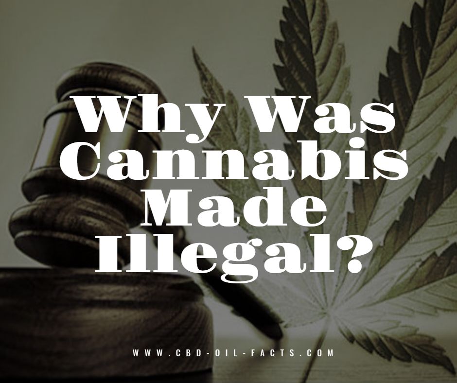 Why Cannabis Was Made Illegal